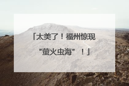 太美了！福州惊现“萤火虫海”！