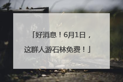 好消息！6月1日，这群人游石林免费！