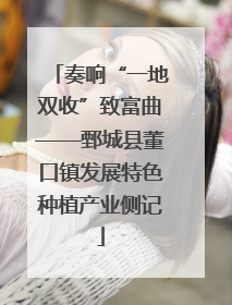 奏响“一地双收”致富曲——鄄城县董口镇发展特色种植产业侧记
