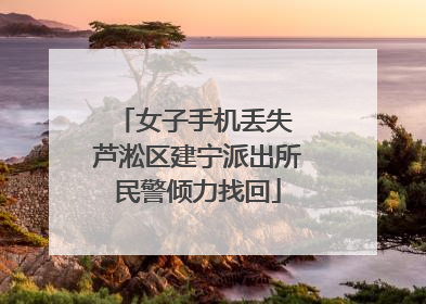 女子手机丢失 芦淞区建宁派出所民警倾力找回