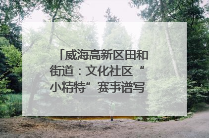 威海高新区田和街道：文化社区“小精特”赛事谱写文化赋能新乐章