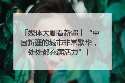 媒体大咖看新疆丨“中国新疆的城市非常繁华，处处都充满活力”