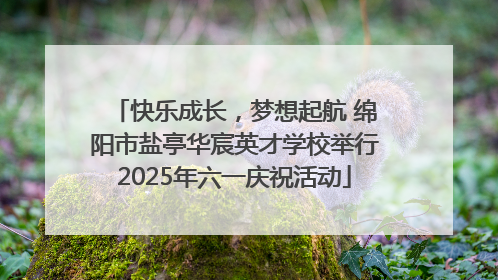 快乐成长，梦想起航 绵阳市盐亭华宸英才学校举行2025年六一庆祝活动