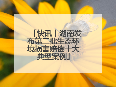 快讯丨湖南发布第三批生态环境损害赔偿十大典型案例