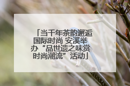 当千年茶韵邂逅国际时尚 安溪举办“品世遗之味赏时尚潮流”活动