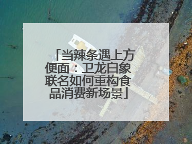 当辣条遇上方便面：卫龙白象联名如何重构食品消费新场景