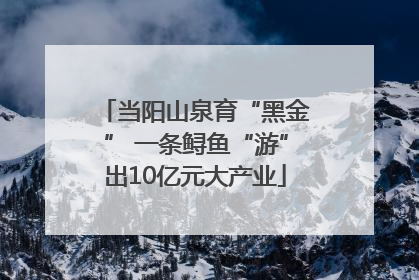 当阳山泉育“黑金” 一条鲟鱼“游”出10亿元大产业