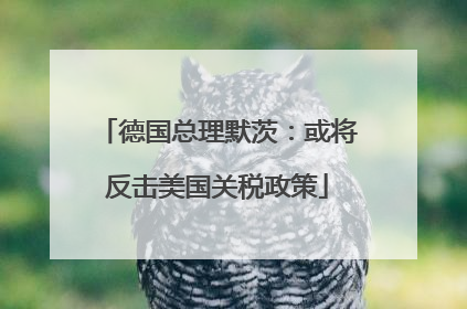德国总理默茨：或将反击美国关税政策