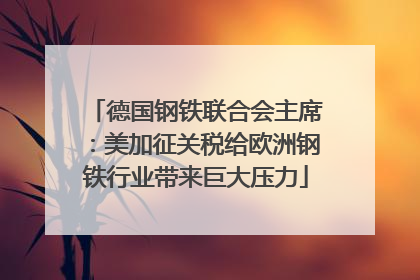德国钢铁联合会主席：美加征关税给欧洲钢铁行业带来巨大压力