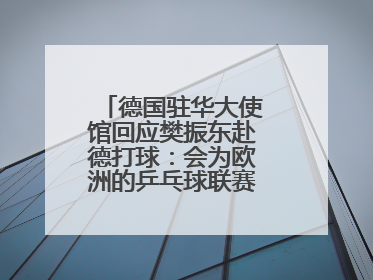 德国驻华大使馆回应樊振东赴德打球：会为欧洲的乒乓球联赛带来新的光彩