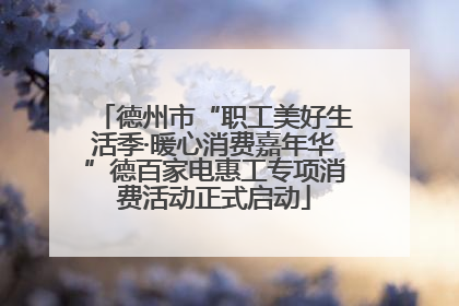 德州市“职工美好生活季·暖心消费嘉年华”德百家电惠工专项消费活动正式启动