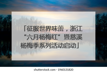 征服世界味蕾，浙江“六月杨梅红”暨慈溪杨梅季系列活动启动