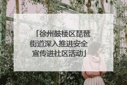 徐州鼓楼区琵琶街道深入推进安全宣传进社区活动