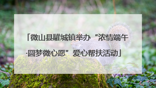 微山县驩城镇举办“浓情端午·圆梦微心愿”爱心帮扶活动
