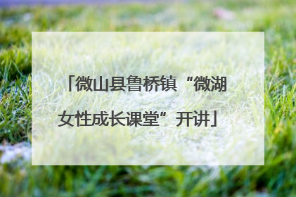 微山县鲁桥镇“微湖女性成长课堂”开讲