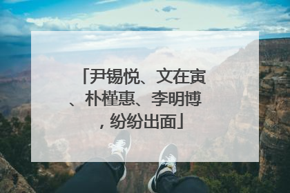 尹锡悦、文在寅、朴槿惠、李明博，纷纷出面