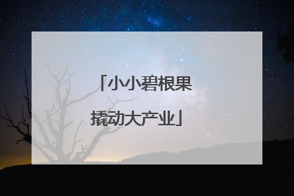 小小碧根果撬动大产业