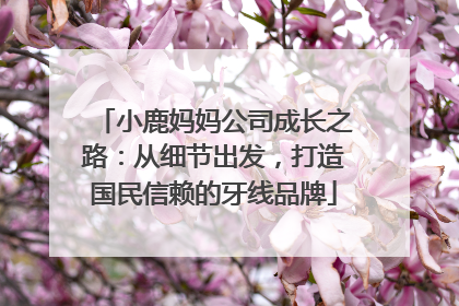 小鹿妈妈公司成长之路：从细节出发，打造国民信赖的牙线品牌