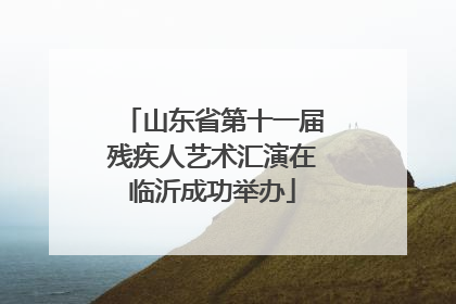 山东省第十一届残疾人艺术汇演在临沂成功举办