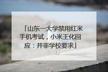 山东一大学禁用红米手机考试，小米王化回应：并非学校要求
