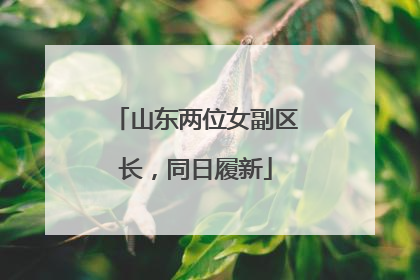 山东两位女副区长，同日履新