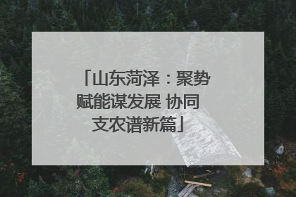 山东菏泽：聚势赋能谋发展 协同支农谱新篇
