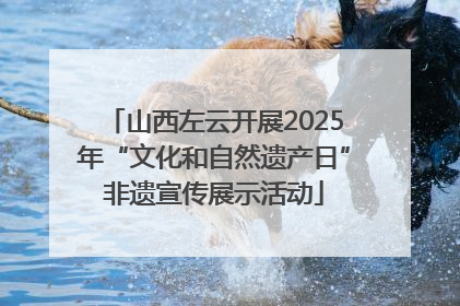 山西左云开展2025年“文化和自然遗产日”非遗宣传展示活动