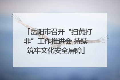 岳阳市召开“扫黄打非”工作推进会 持续筑牢文化安全屏障