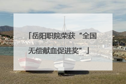 岳阳职院荣获“全国无偿献血促进奖”