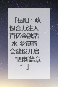 岳阳：政银合力注入百亿金融活水 乡镇商会建设开启“四新篇章”