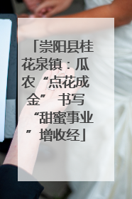 崇阳县桂花泉镇：瓜农“点花成金” 书写“甜蜜事业”增收经