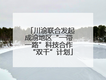 川渝联合发起成渝地区“一带一路”科技合作“双千”计划
