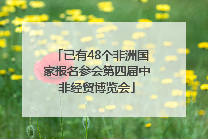 已有48个非洲国家报名参会第四届中非经贸博览会