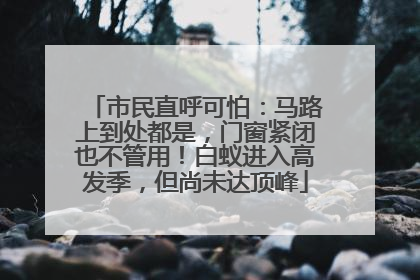市民直呼可怕：马路上到处都是，门窗紧闭也不管用！白蚁进入高发季，但尚未达顶峰