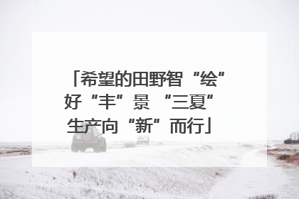 希望的田野智“绘”好“丰”景 “三夏”生产向“新”而行