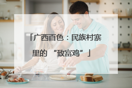 广西百色：民族村寨里的 “致富鸡”