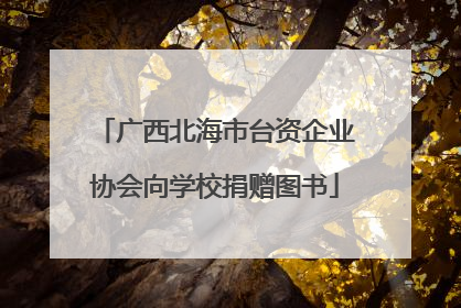 广西北海市台资企业协会向学校捐赠图书