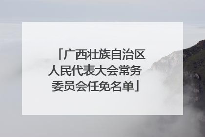 广西壮族自治区人民代表大会常务委员会任免名单