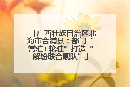 广西壮族自治区北海市合浦县：部门“常驻+轮驻”打造“解纷联合舰队”
