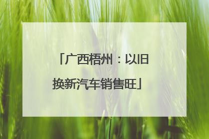 广西梧州：以旧换新汽车销售旺