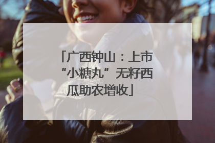广西钟山：上市“小糖丸”无籽西瓜助农增收