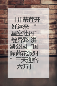 并蒂莲开好运来 “星空牡丹”绽异彩 洪湖公园“国际荷花派对”三天迎客六万