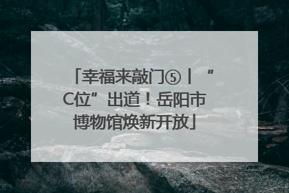 幸福来敲门⑤丨“C位”出道！岳阳市博物馆焕新开放