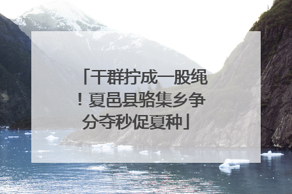 干群拧成一股绳！夏邑县骆集乡争分夺秒促夏种