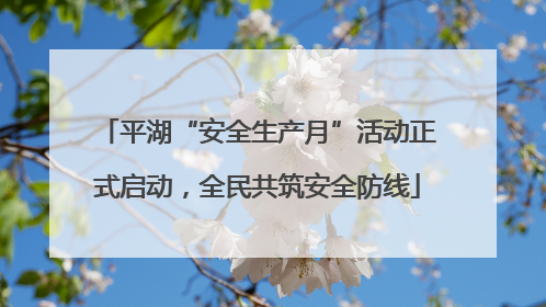 平湖“安全生产月”活动正式启动，全民共筑安全防线