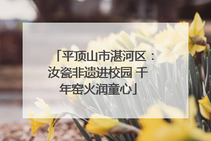 平顶山市湛河区：汝瓷非遗进校园 千年窑火润童心