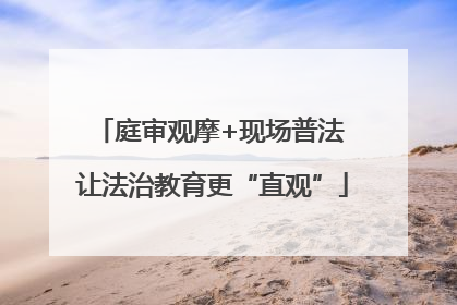 庭审观摩+现场普法 让法治教育更“直观”