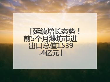延续增长态势！前5个月潍坊市进出口总值1539.4亿元