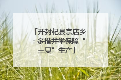 开封杞县宗店乡：多措并举保障“三夏”生产