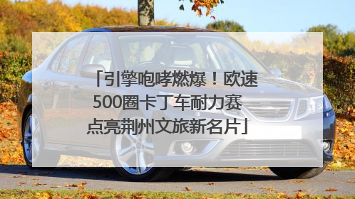 引擎咆哮燃爆！欧速500圈卡丁车耐力赛点亮荆州文旅新名片